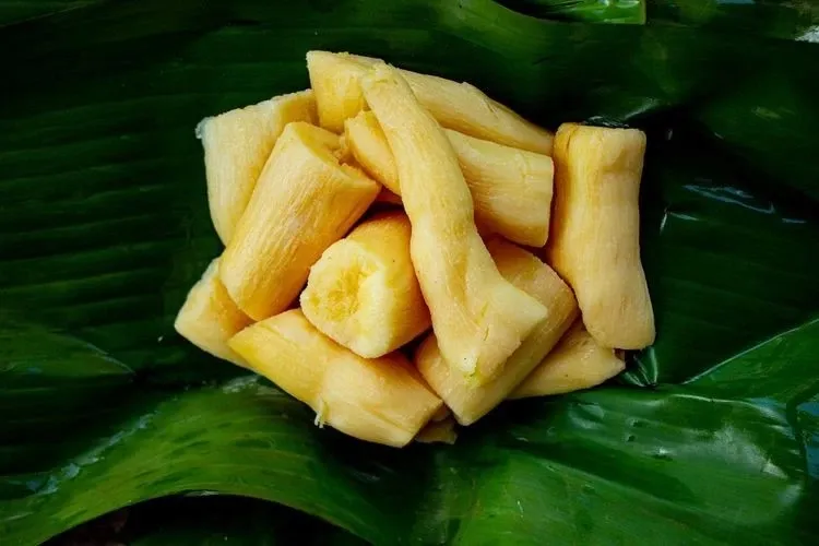 Manfaat Tape Singkong: Aman untuk Diabetes?